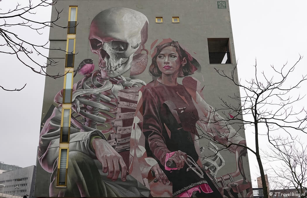 Street art van Telmo Miel tijdens mijn street art wandeling in de Afrikaanderwijk in Rotterdam