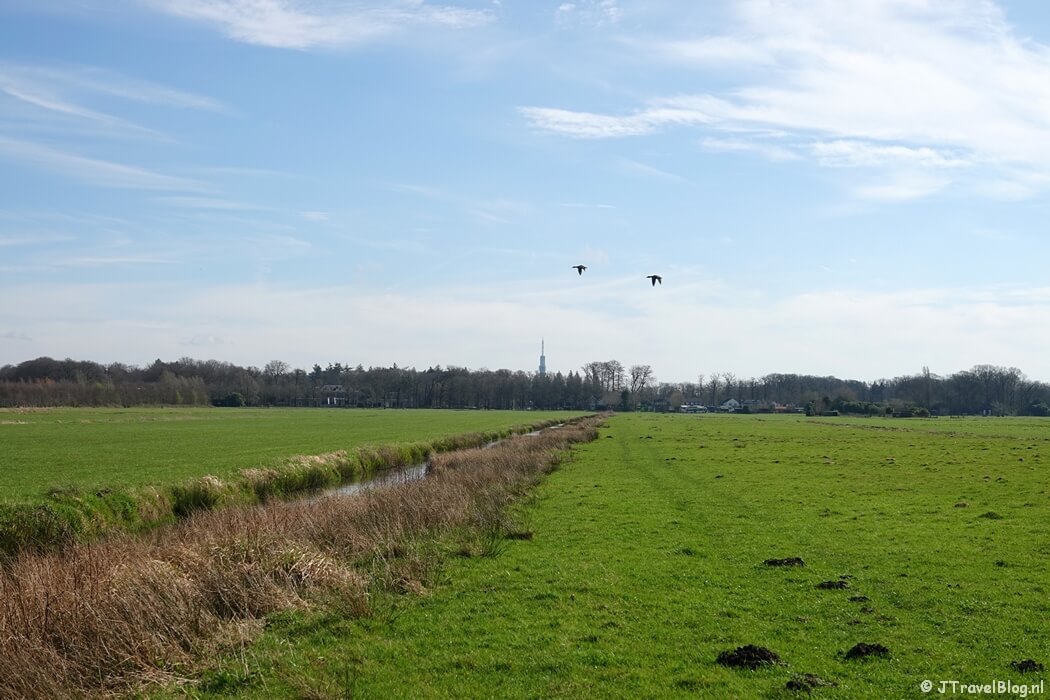 Weiland tijdens mijn wandeling van de 3e etappe van de oudste wandelroute van Nederland van Nederhorst den Berg naar Hilversum
