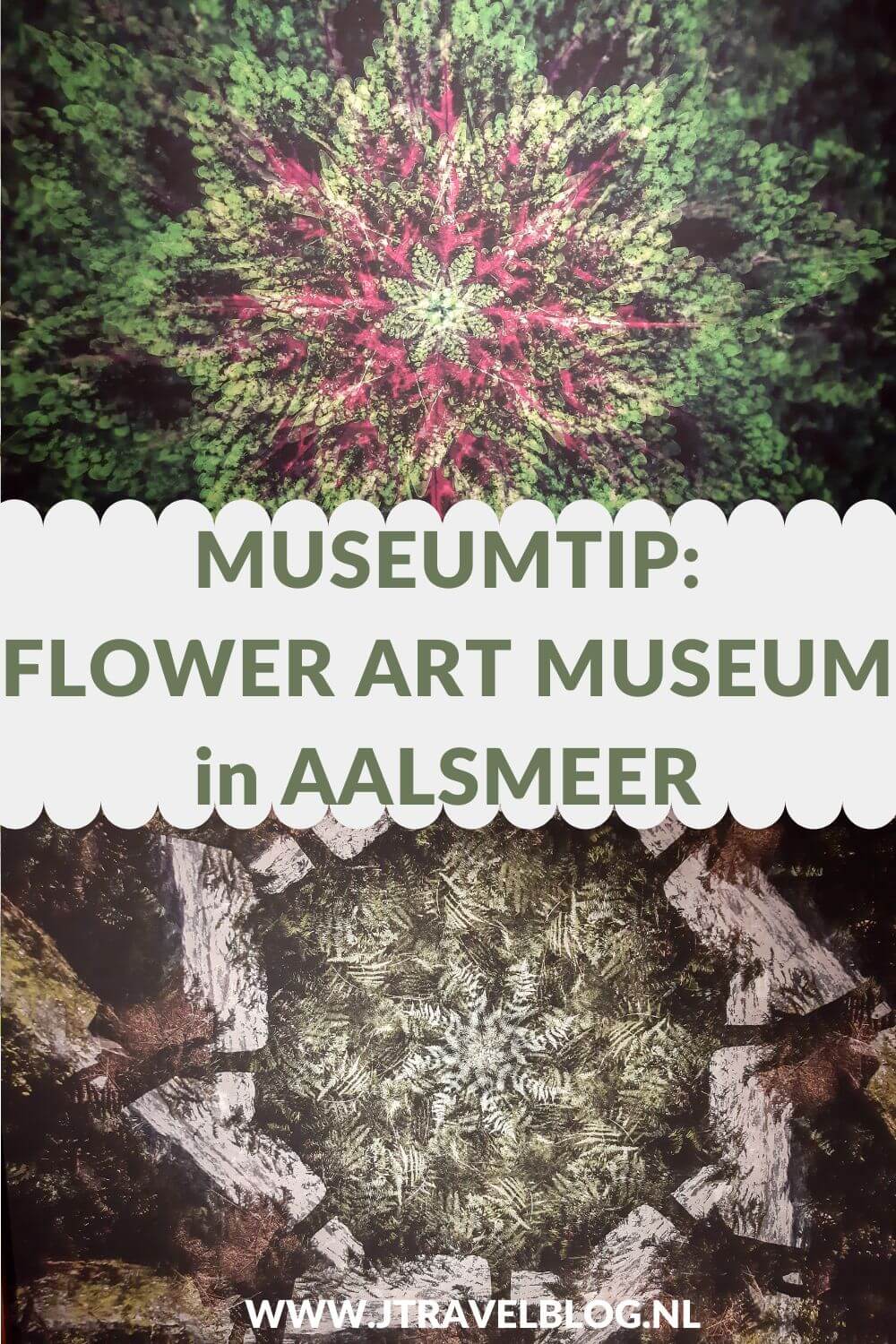 Mijn museumtip voor vandaag is het Flower Art Museum in Aalsmeer. Het Flower Art Museum organiseert tentoonstellingen met als centrale thema bloemen, planten en natuur in de hedendaagse kunst. Meer lees je in deze blog. #flowerartmuseum #aalsmeer #museum #museumkaart #jtravelblog #jtravel