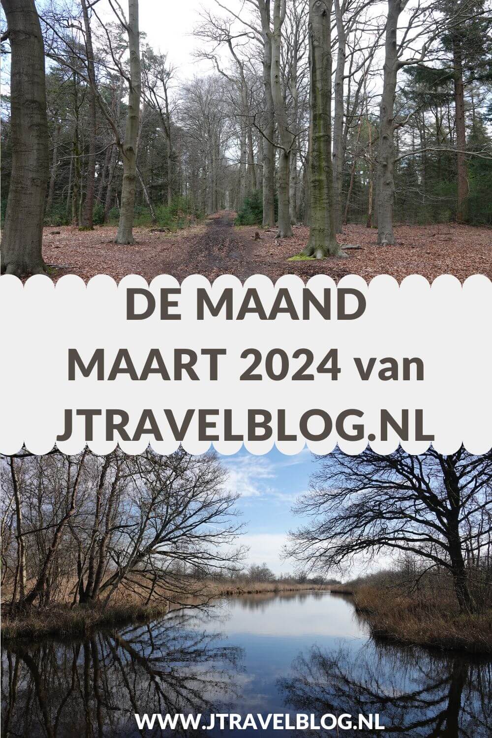 In maart 2024 liep ik twee etappes van de oudste wandelroute van Nederland, ik bezocht het Flower Art Museum in Aalsmeer en ik maakte ik een wandeling in de Amsterdamse Waterleidingduinen. Meer hier over lees je in dit maandoverzicht. #maandoverzicht #maart2024 #oudstewandelroutevannederland #flowerartmuseum #amsterdamsewaterleidingduinen #wandelen #jtravel #jtravelblog