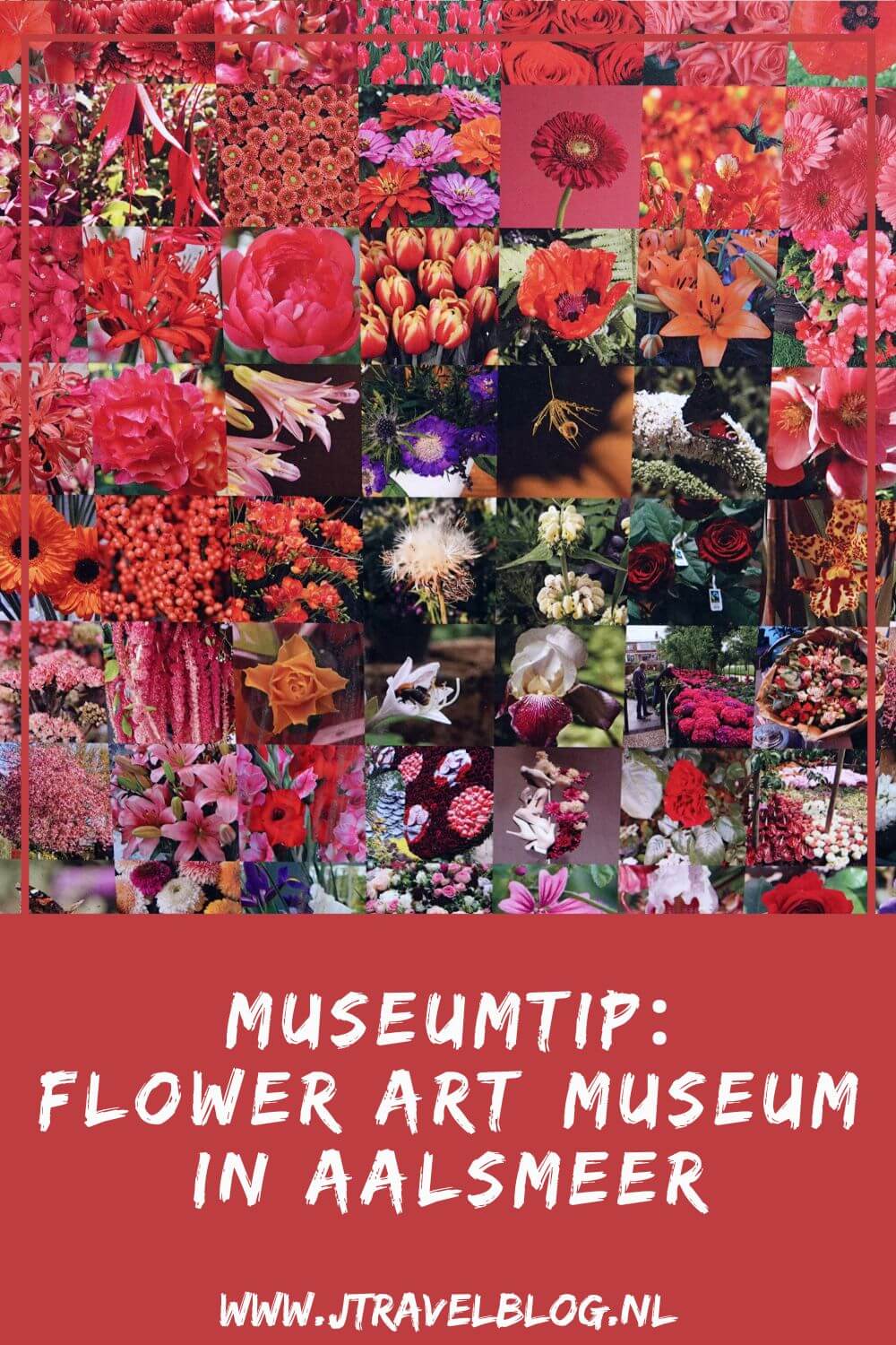 Mijn museumtip voor vandaag is het Flower Art Museum in Aalsmeer. Het Flower Art Museum organiseert tentoonstellingen met als centrale thema bloemen, planten en natuur in de hedendaagse kunst. Meer lees je in deze blog. #flowerartmuseum #aalsmeer #museum #museumkaart #jtravelblog #jtravel