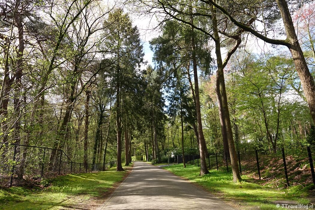 Taveernelaan tijdens mijn wandeling van de 5e etappe van de oudste wandelroute van Nederland van Den Dolder naar Zeist