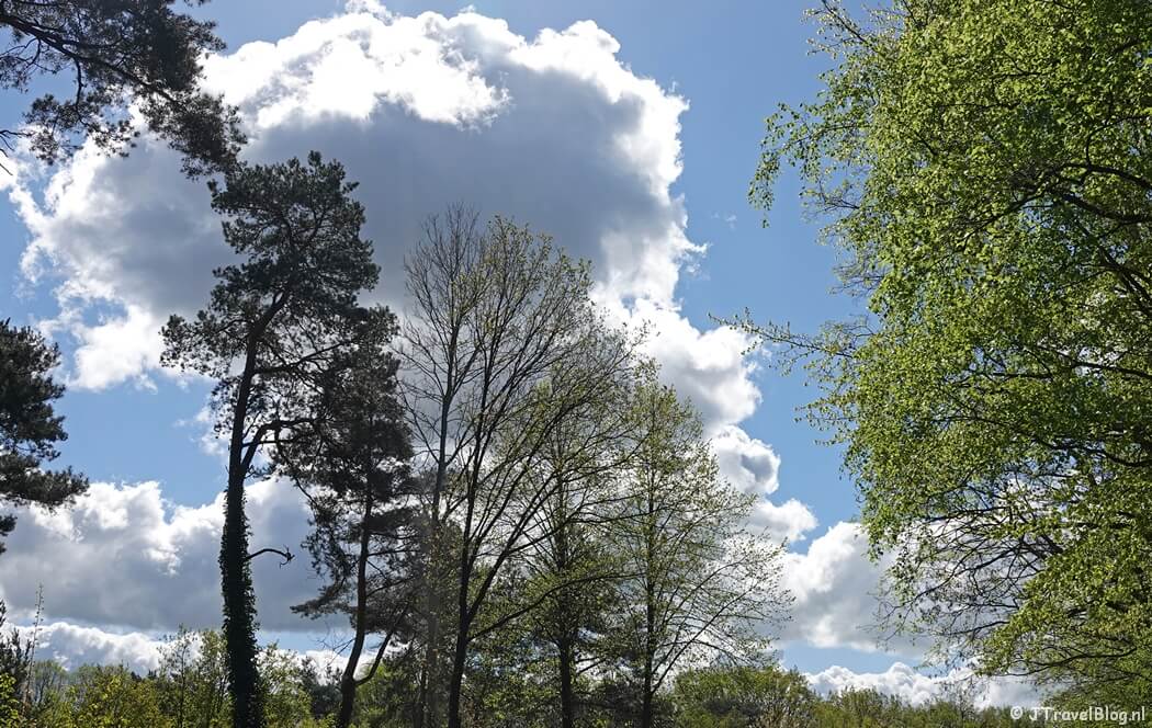 Wolkenlucht tijdens mijn wandeling van de 5e etappe van de oudste wandelroute van Nederland van Den Dolder naar Zeist