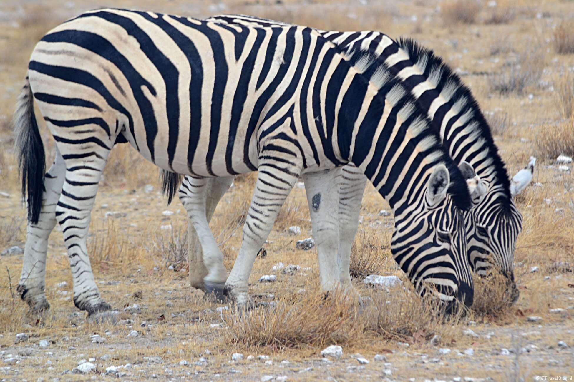 Bijzondere excursies die ik tijdens mijn reizen maakte
