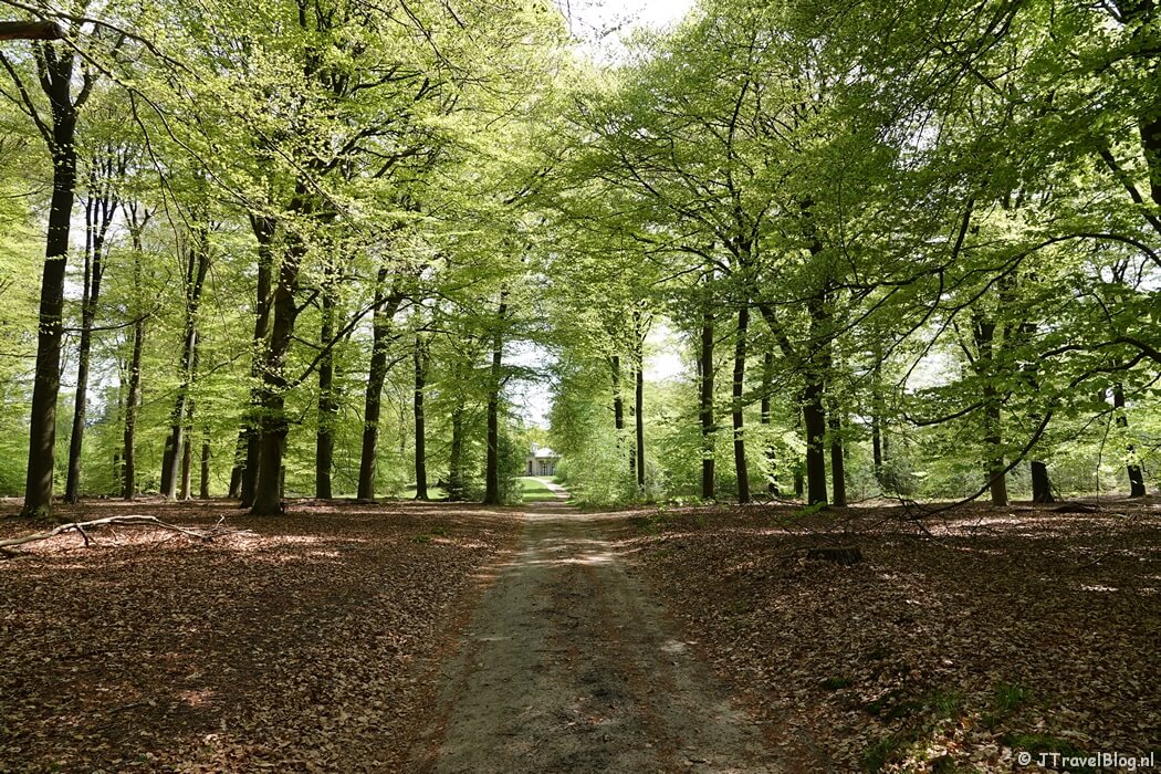 Een bospad op Landgoed Den Treek Henschoten tijdens mijn wandeling van de 6e etappe van de oudste wandelroute van Nederland van Zeist naar Maarn