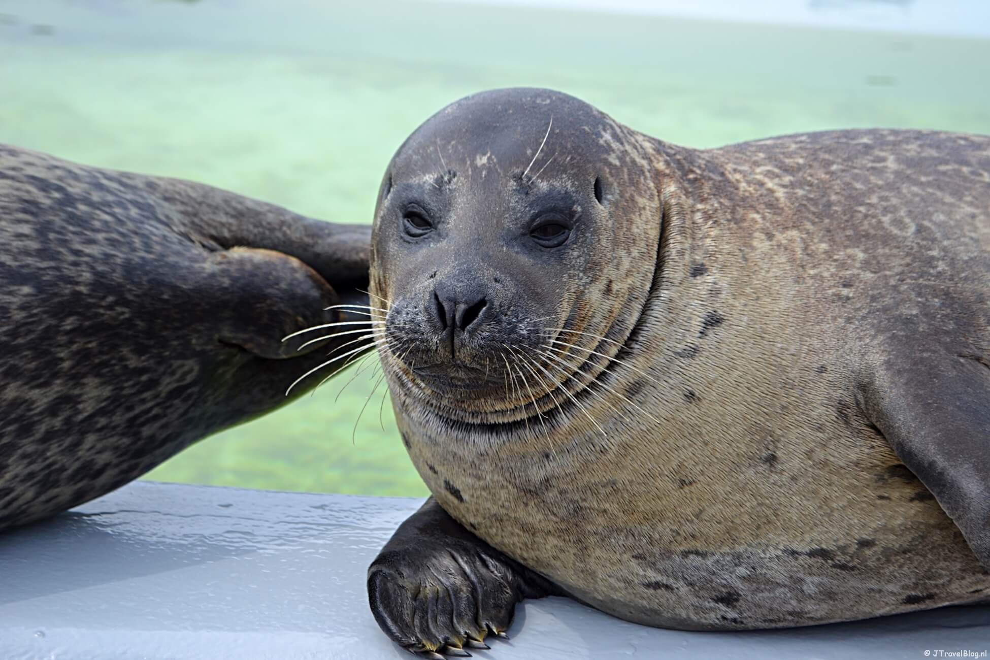 De zeven musea op Texel