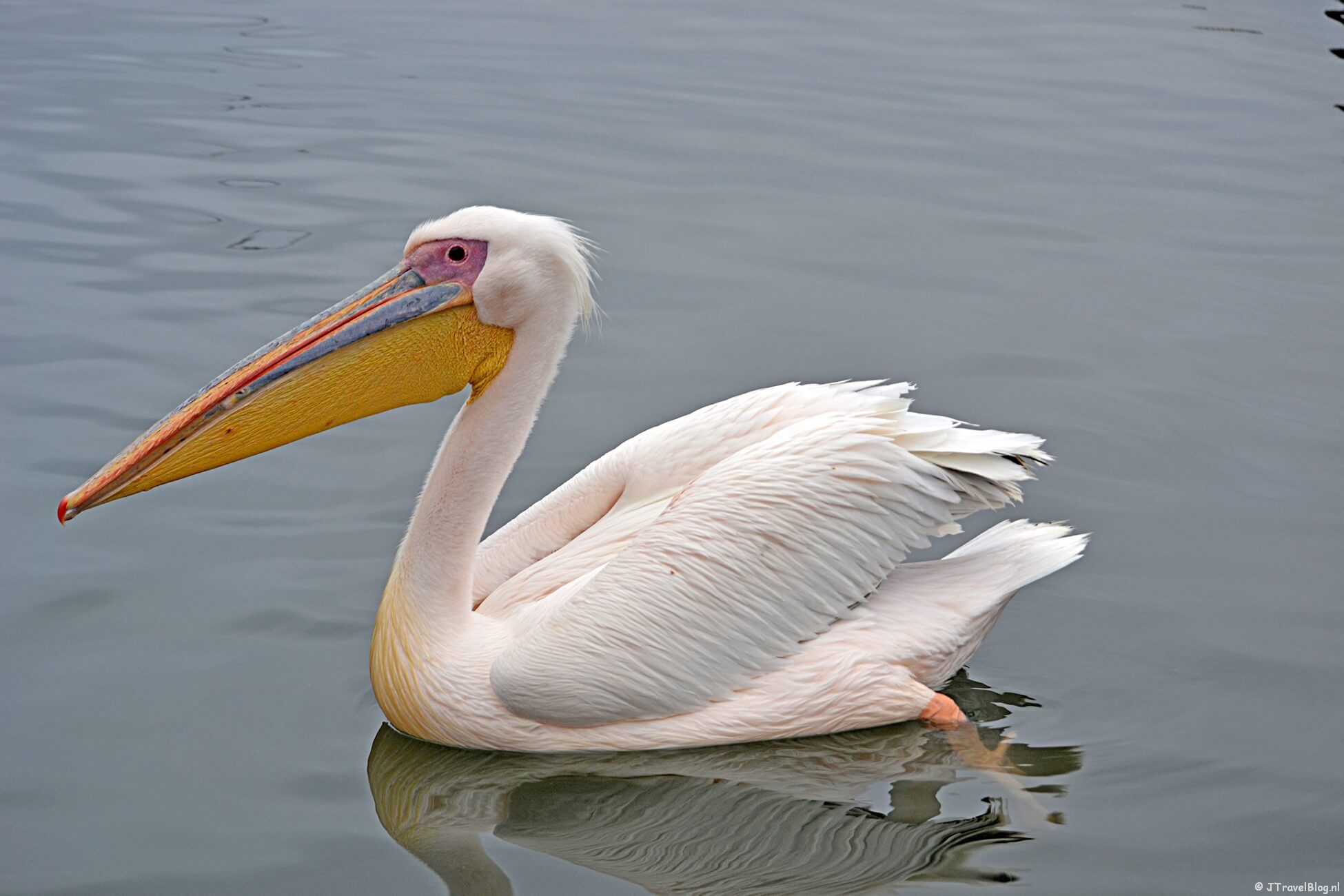 Excursies in Walvis Bay : Bootcruise en Living Desert Tour