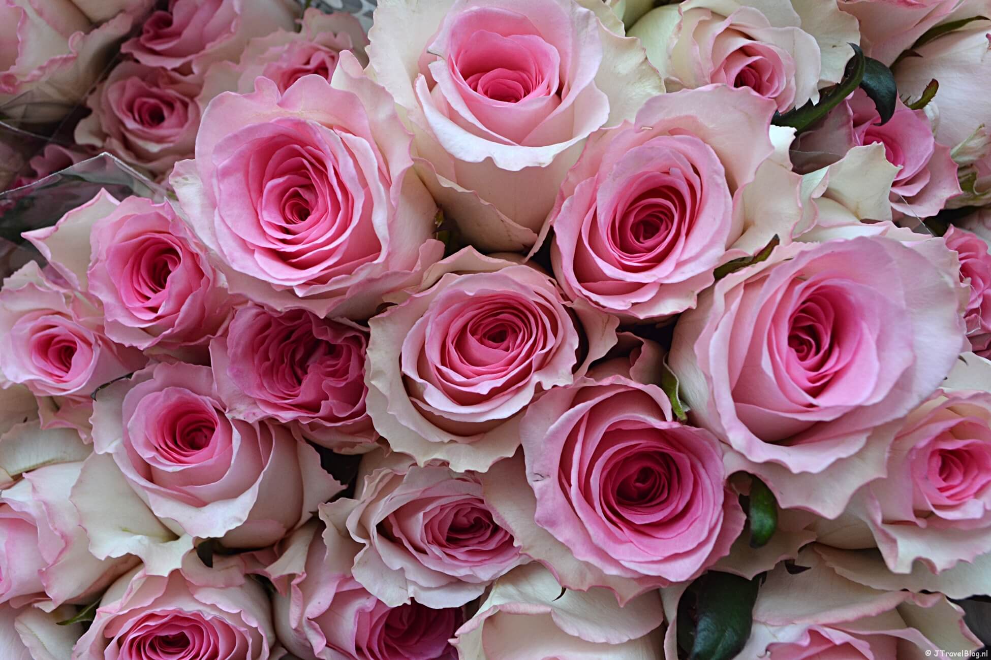 Maandoverzicht november 2019