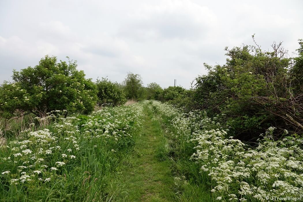Natuurpad tijdens mijn bijzondere bergwandeling in de Haarlemmermeer