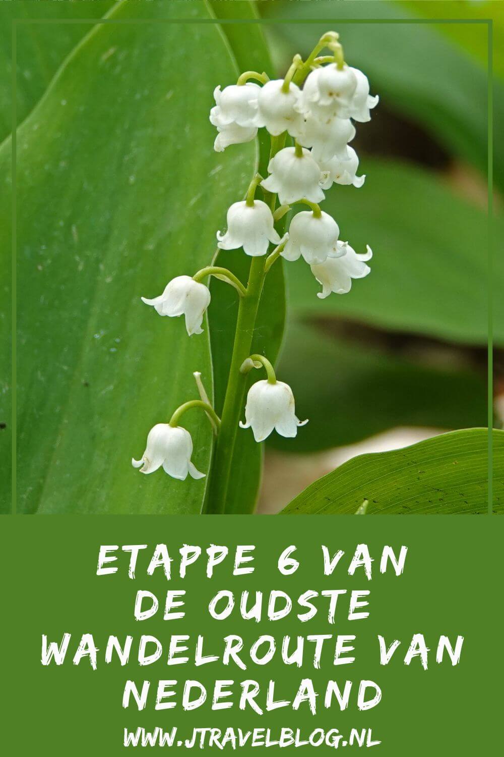 Dit is mijn verslag van etappe 6 van de oudste wandelroute van Nederland van Zeist naar Maarn over een afstand van 14,5 kilometer. De oudste wandelroute van Nederland heeft een lengte van 150 kilometer en loopt vanaf Station Amsterdam-Muiderpoort naar Arnhem. #oudstewandelroutevannederland #wandelen #jtravelblog #jtravel