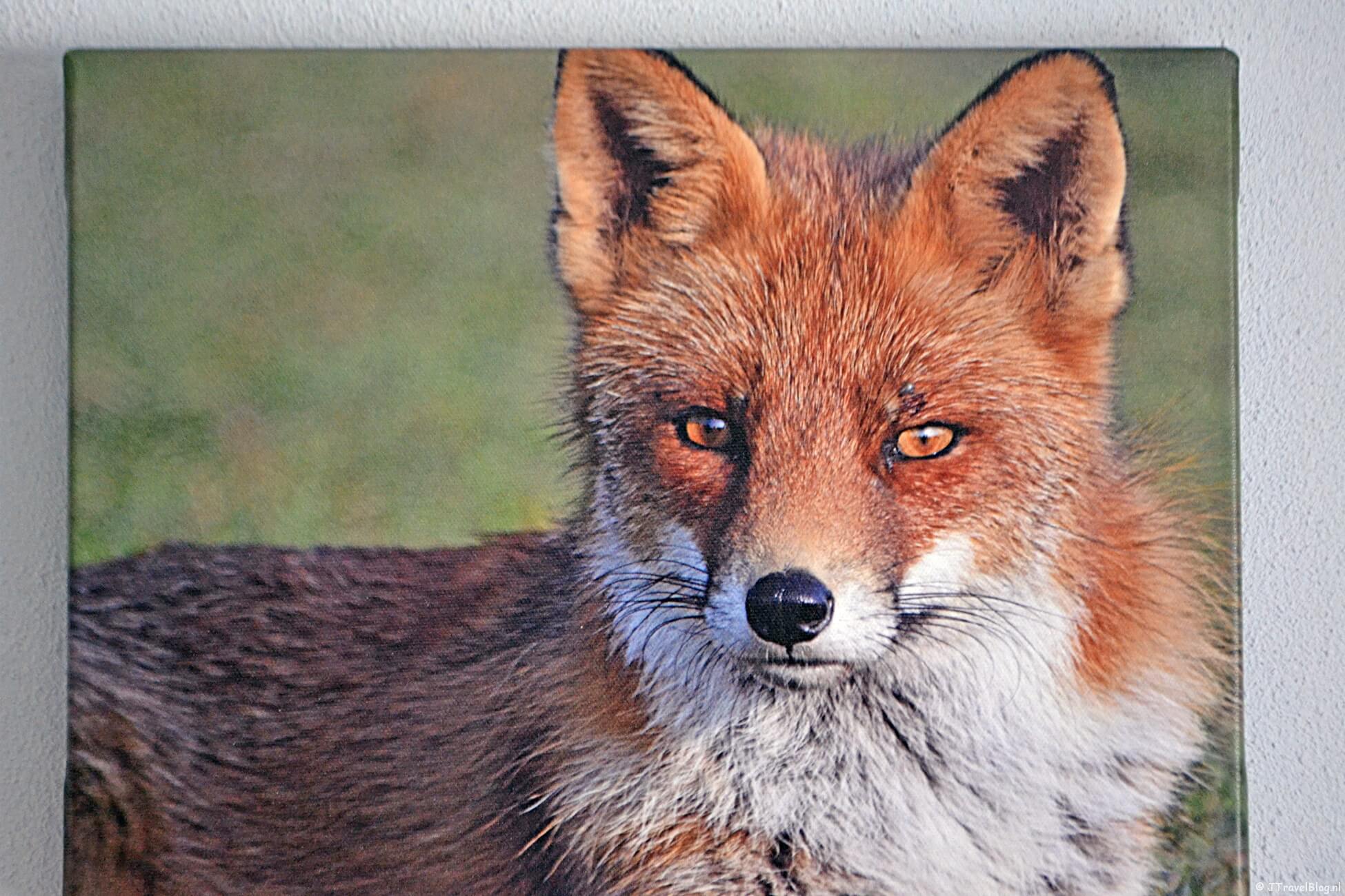 Review – Foto op canvas van Fotofabriek.nl