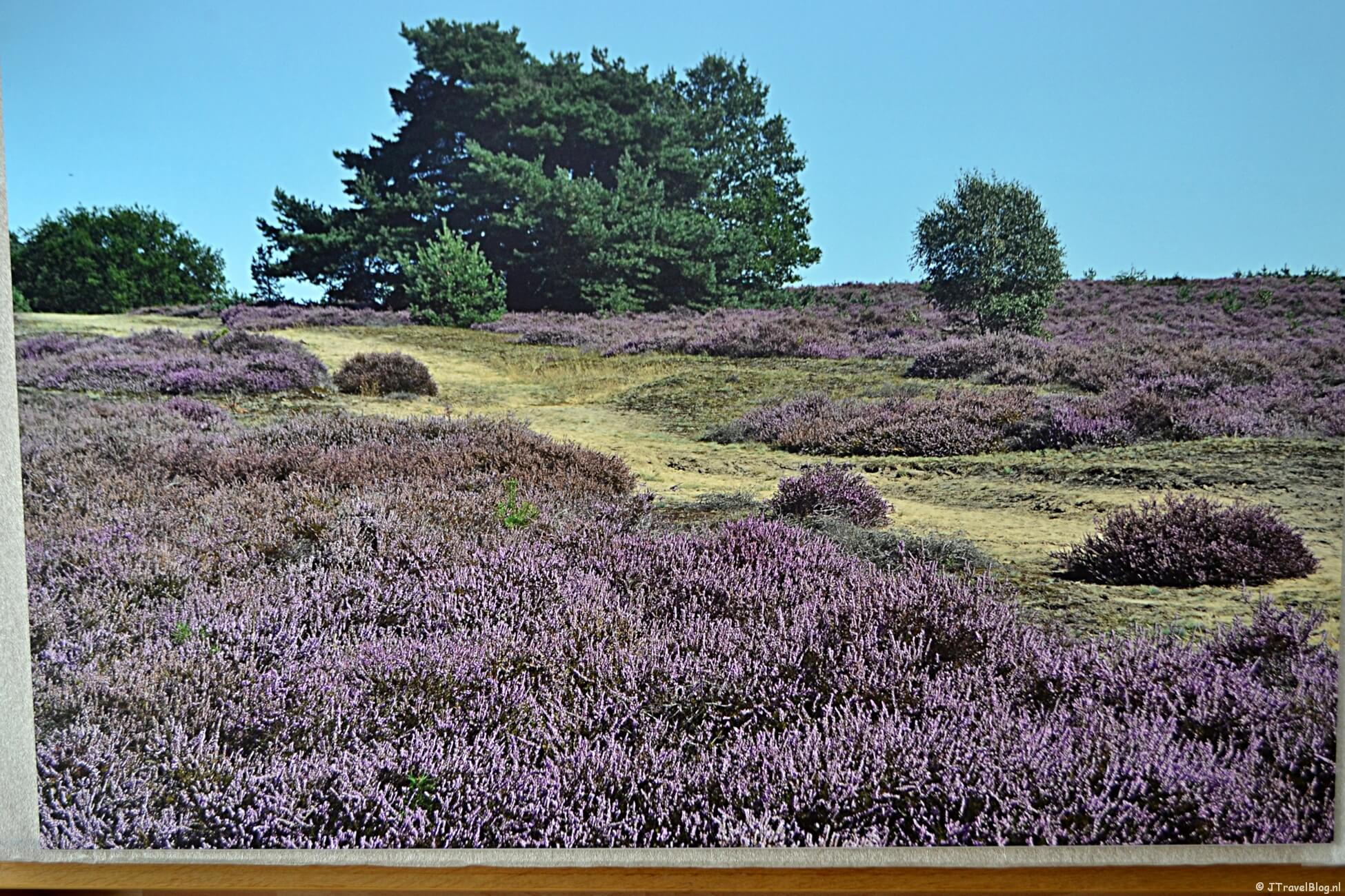 Review : Foto op forex van Drukwerknodig.nl