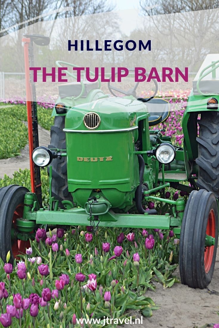 The Tulip Barn in Hillegom is een nieuwe bloemenbeleving en een uniek concept op het gebied van bloemenbeleving. Meer over The Tulip Barn in Hillegom leest u in dit artikel. #thetulipbarn #thetulipbarnhillegom #hillegom #bollenstreek #jtravel #jtravelblog