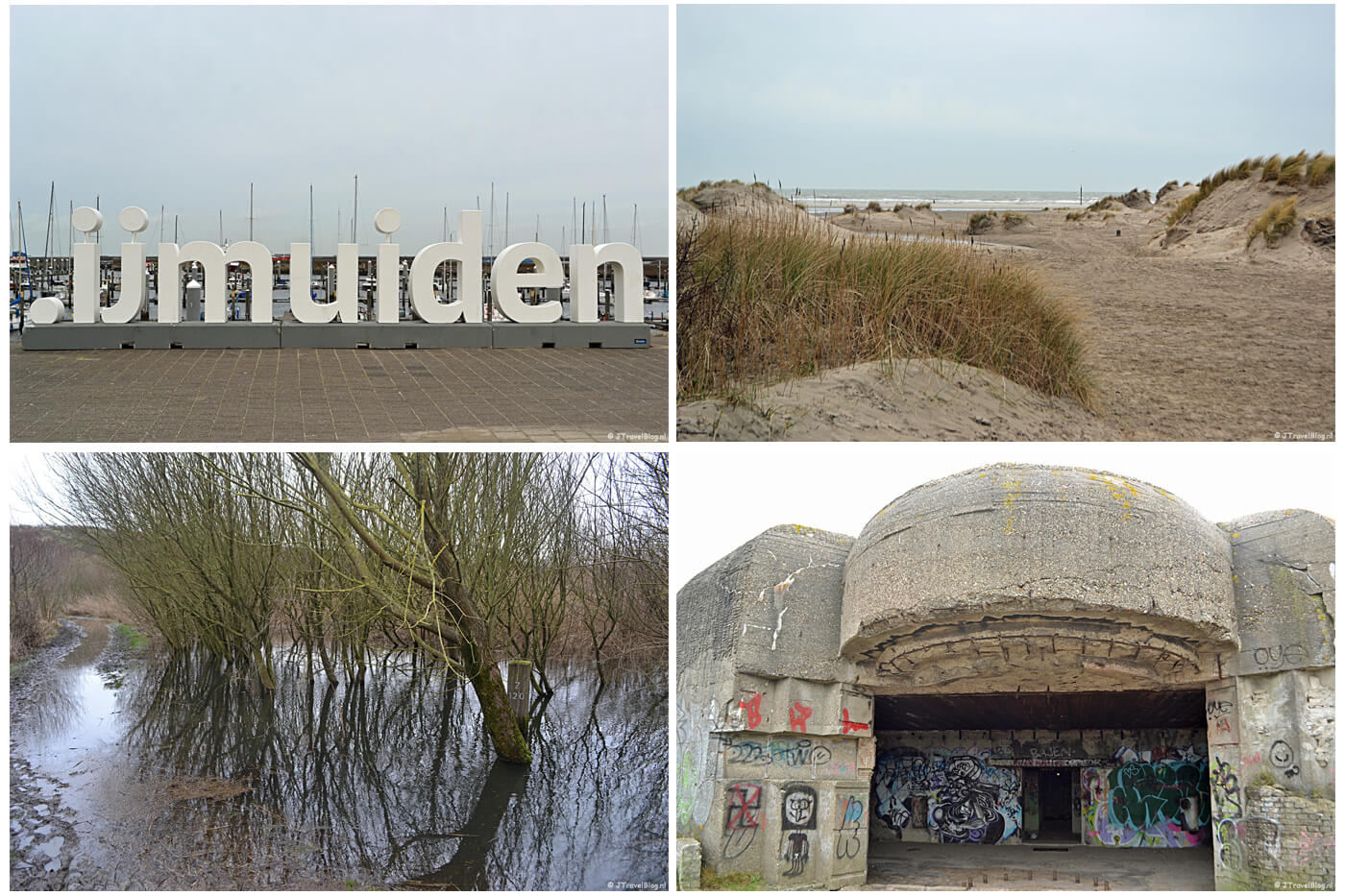Foto's van mijn wandeling in de duinen van IJmuiden in februari 2020