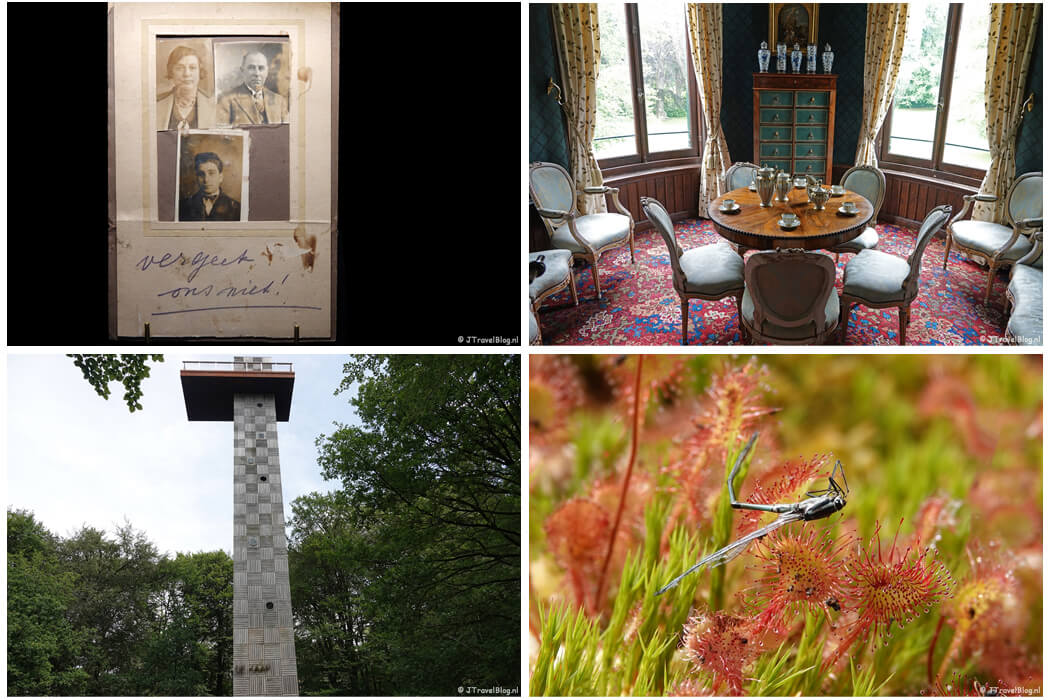 Juni 2024 : Nationaal Holocaustmuseum in Amsterdam, Kasteel Keukenhof in Lisse, etappe 8 van de oudste wandelroute van Nederland tussen Doorn en Leersum en een wandeling in de Amsterdamse Waterleidingduinen