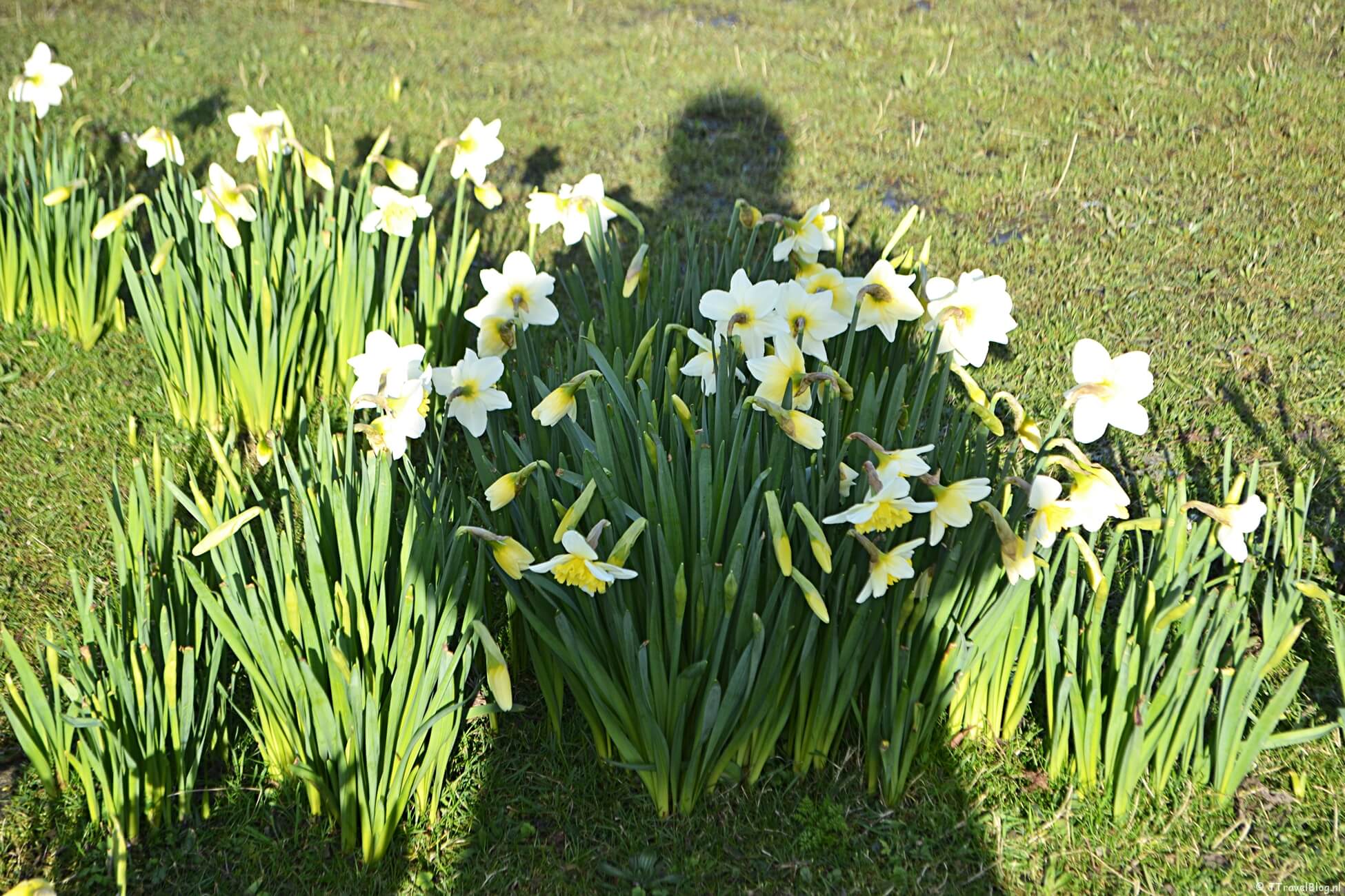 Maandoverzicht maart 2020