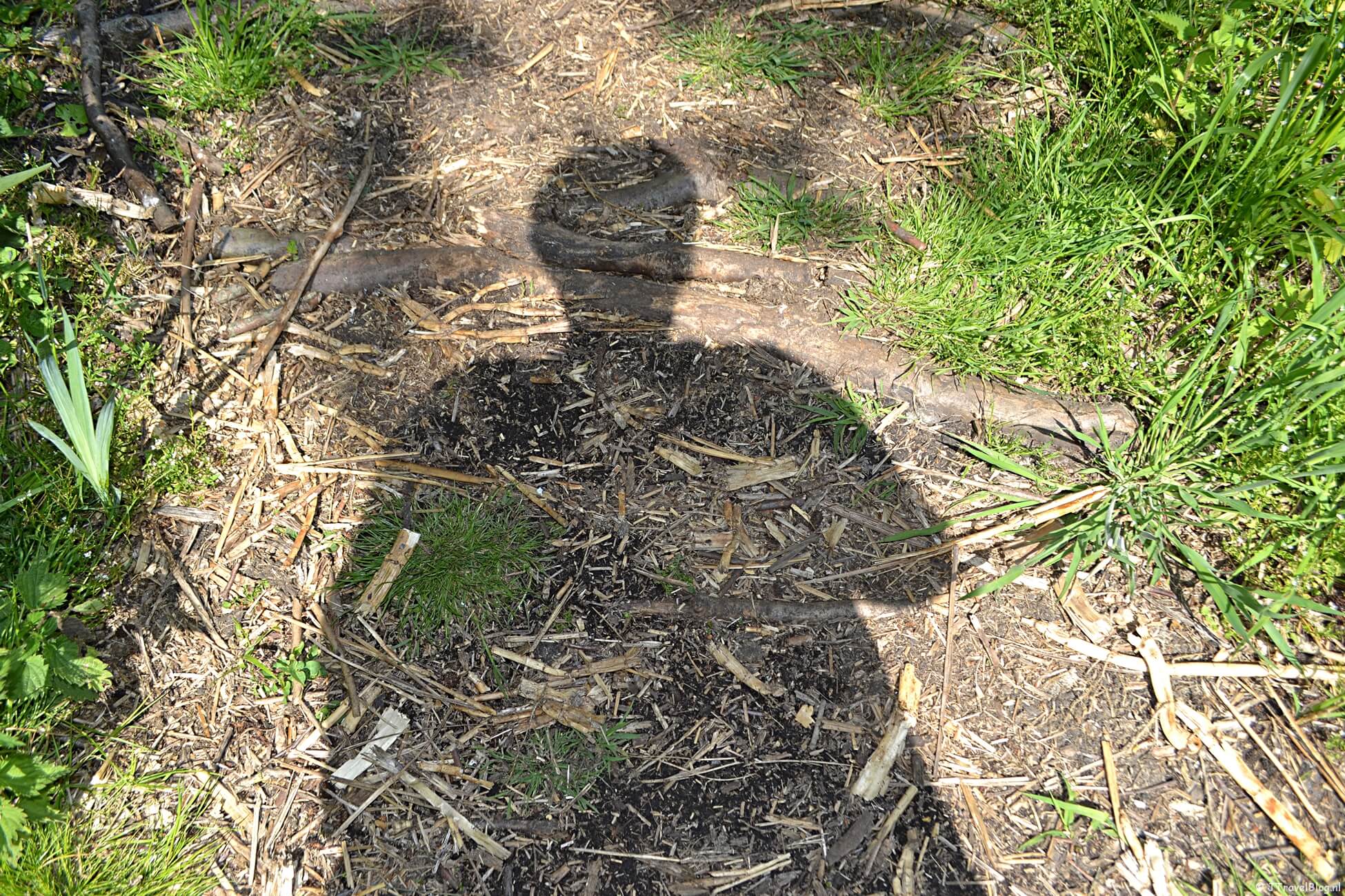 Maandoverzicht mei 2020