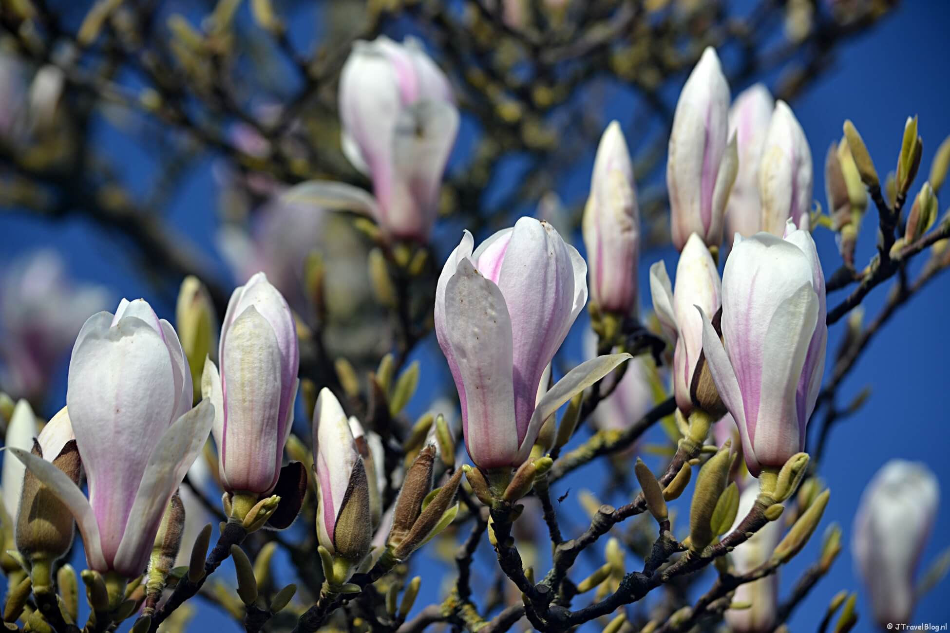 12 tips om te doen tijdens de coronacrisis