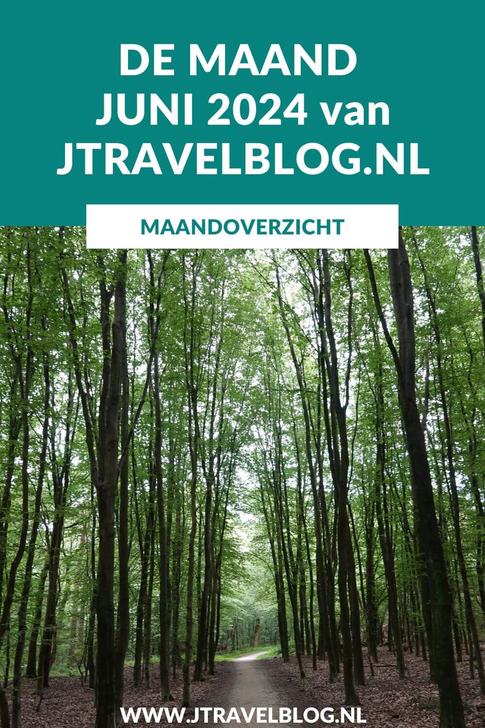 In juni 2024 bezocht ik 3 musea in Amsterdam, ik nam deel aan een rondleiding door Kasteel Keukenhof in Lisse, ik liep een etappe van de oudste wandelroute van Nederland en maakte een wandeling in de Amsterdamse Waterleidingduinen. Meer hier over lees je in dit maandoverzicht. #maandoverzicht #juni2024 #amsterdam #kasteelkeukenhof #oudstewandelroutevannederland #amsterdamsewaterleidingduinen #wandelen #jtravel #jtravelblog