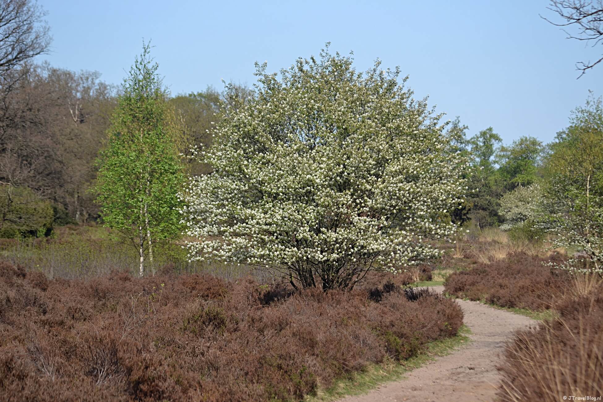 15 redenen om te gaan wandelen