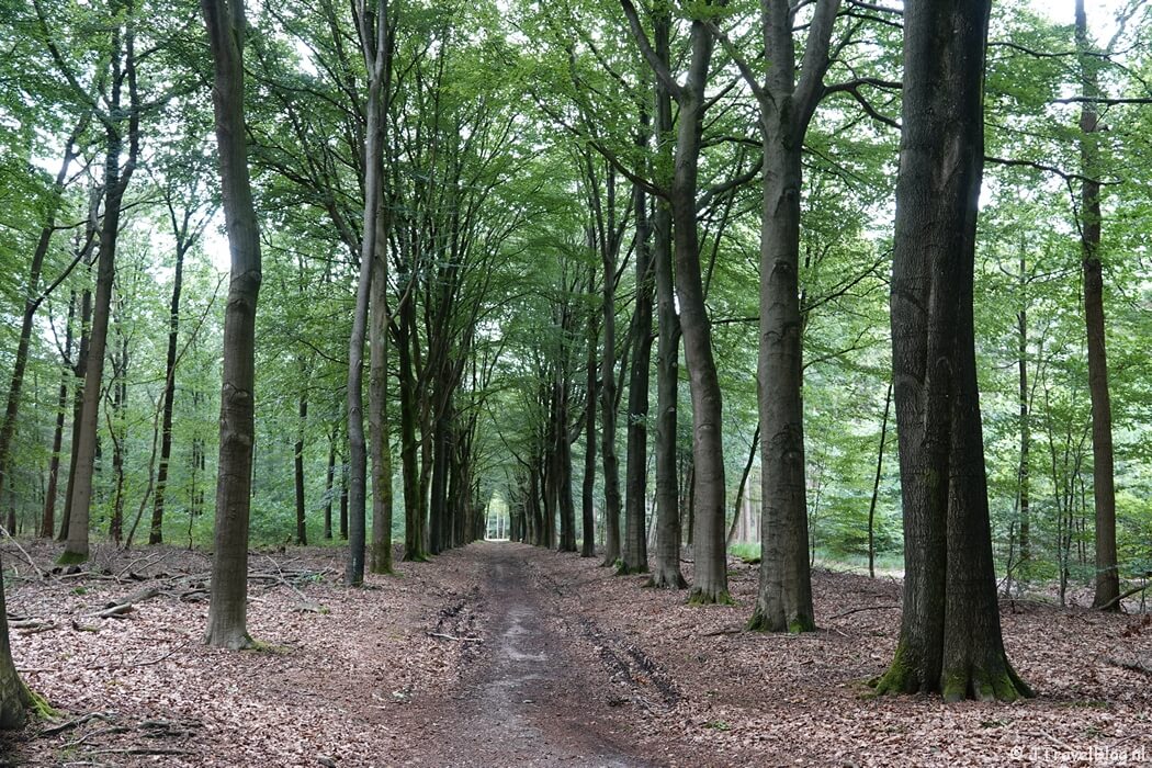 Landgoed Prattenburg tijdens mijn wandeling van de 9e etappe van de oudste wandelroute van Nederland van Leersum naar Elst