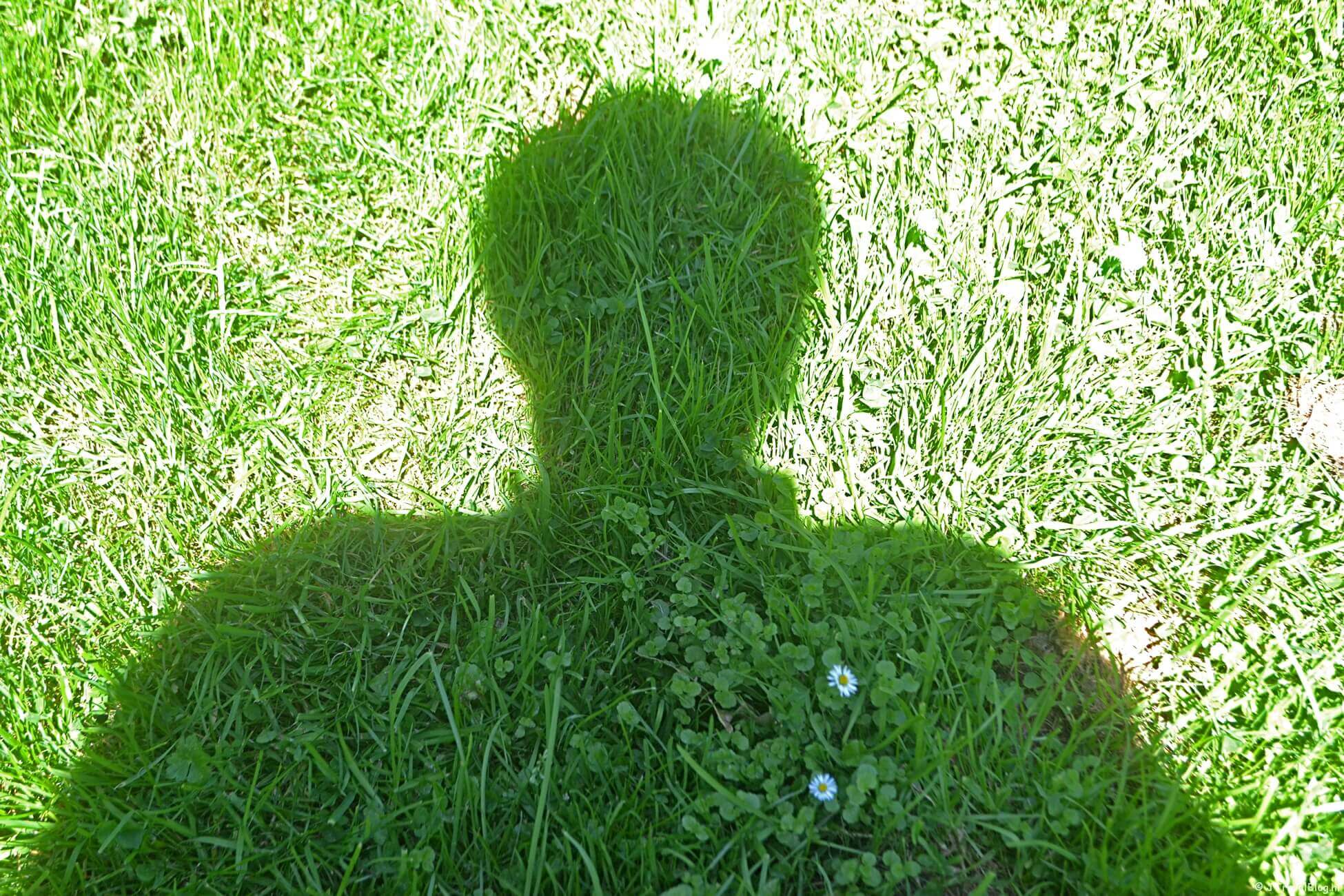 Maandoverzicht augustus 2020