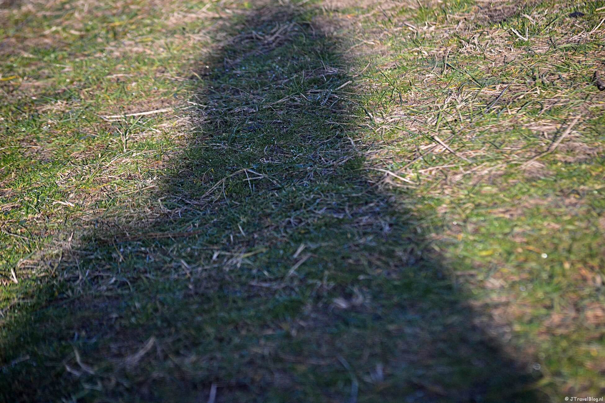 Maandoverzicht december 2020