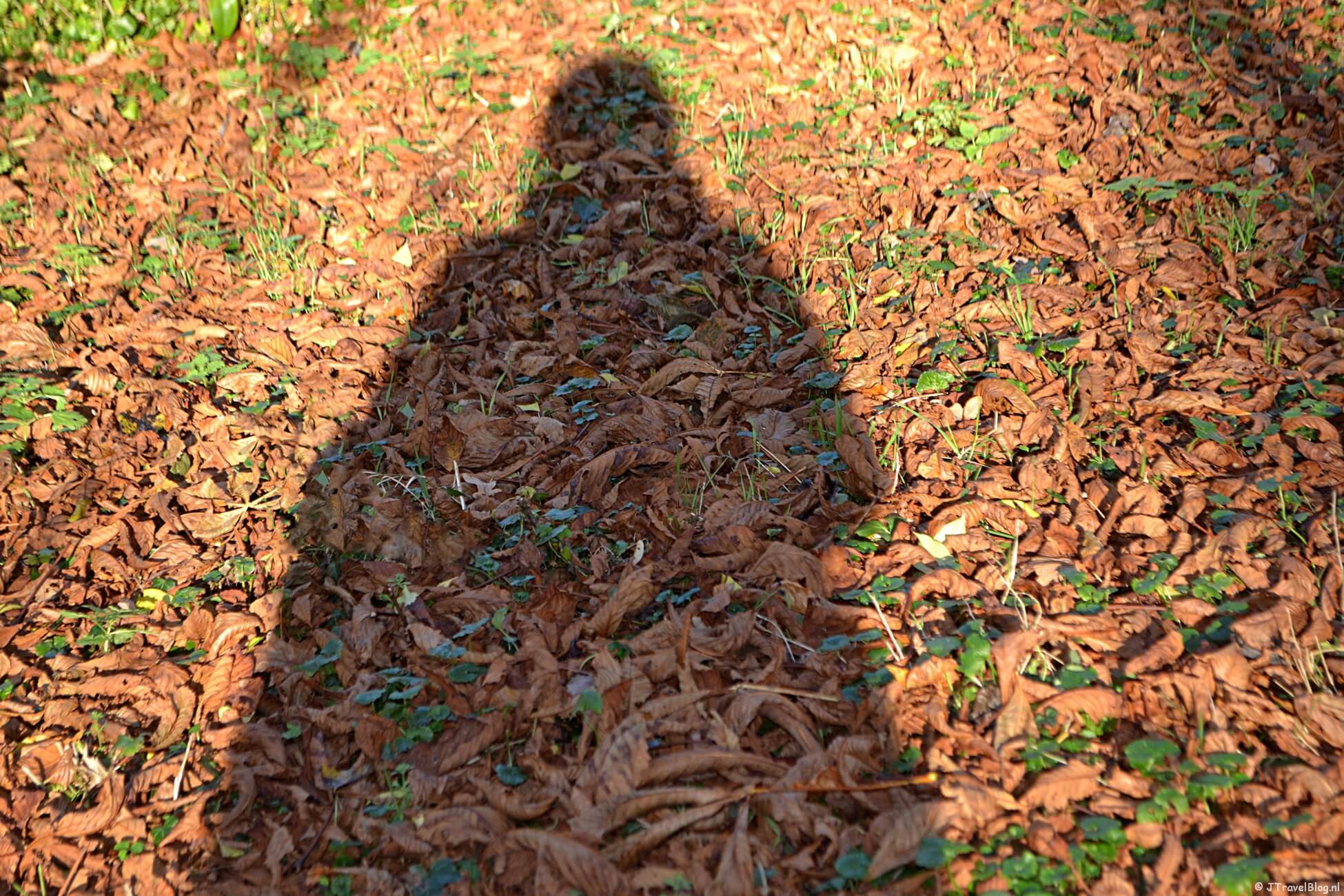 Maandoverzicht november 2020