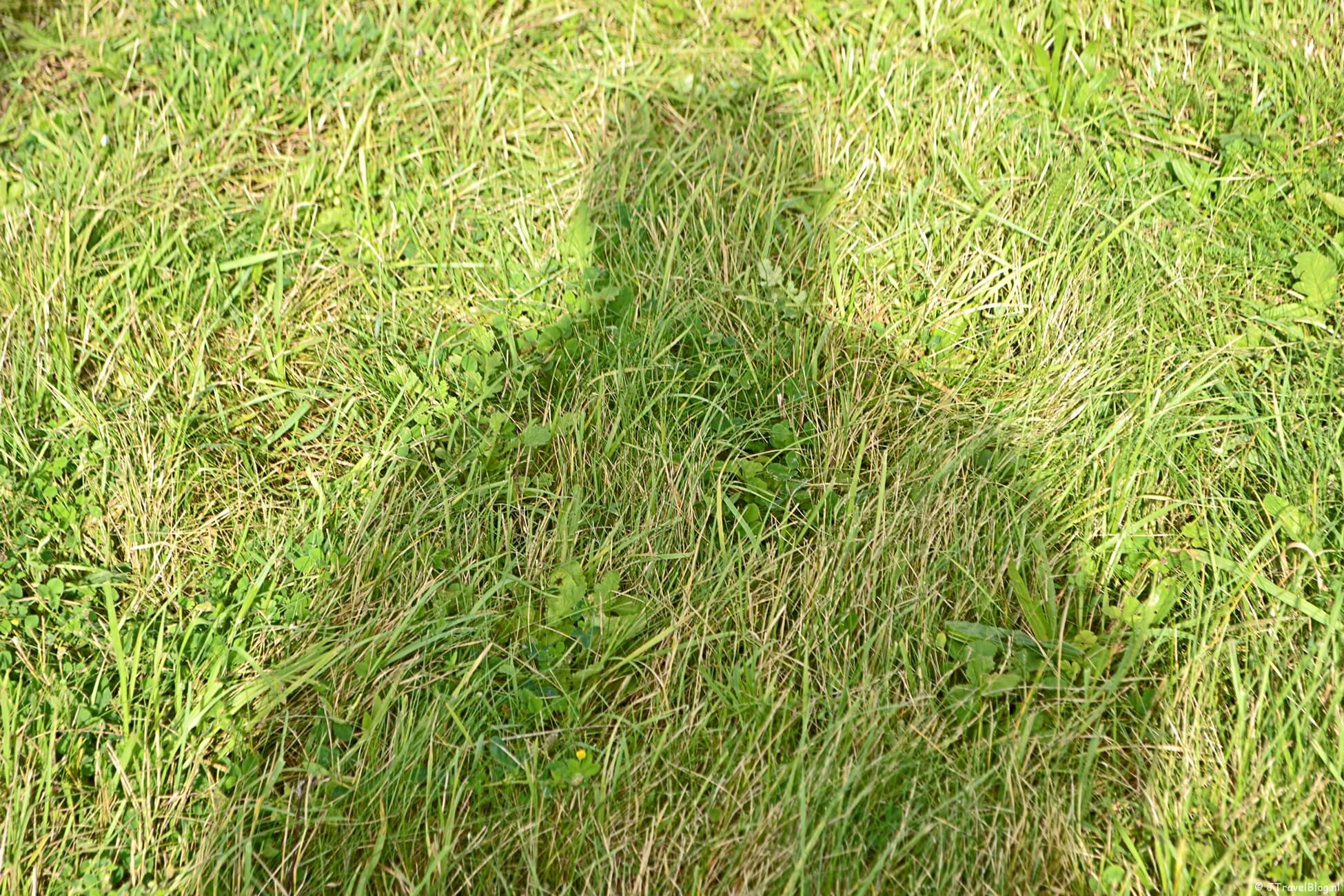 Maandoverzicht oktober 2020