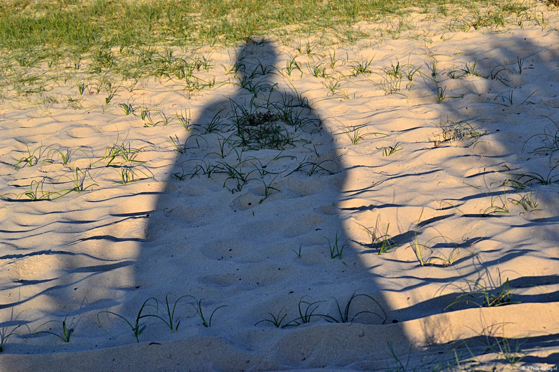 Maandoverzicht augustus 2020