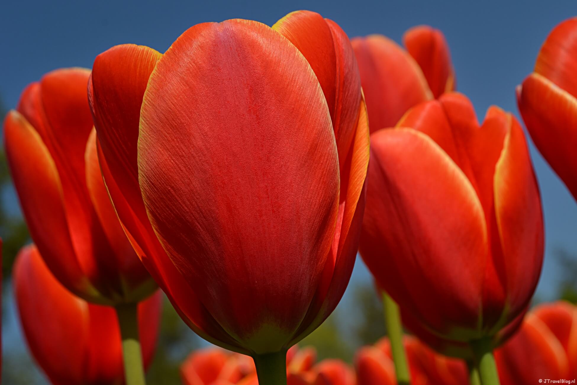 Mijn jaaroverzicht 2020