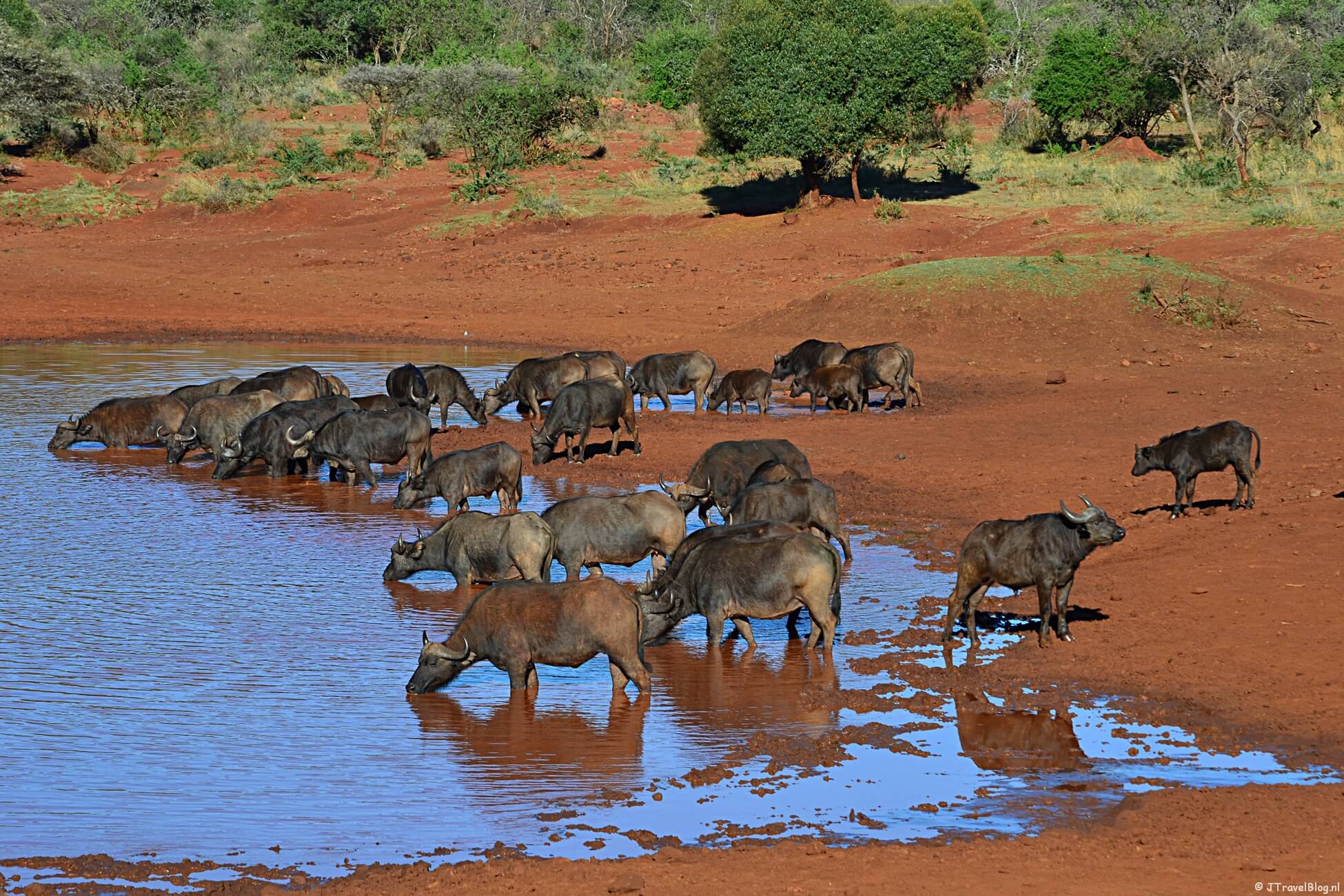 Alles wat je wilt weten over reizen naar Zuid-Afrika