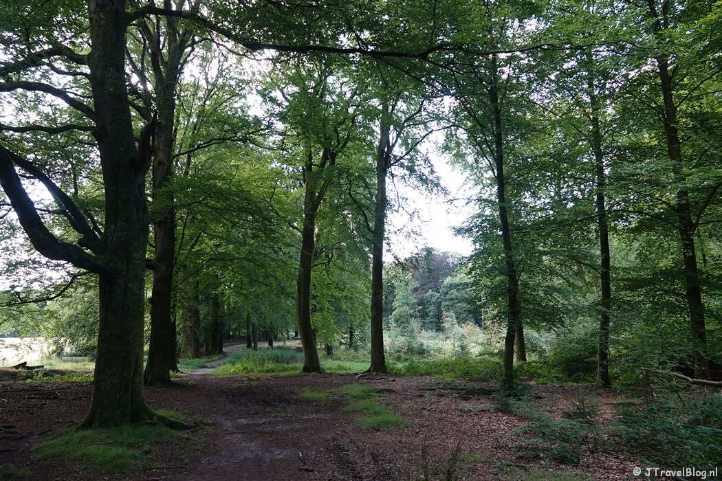 Bikbergen tijdens de Trage Tocht Blaricum