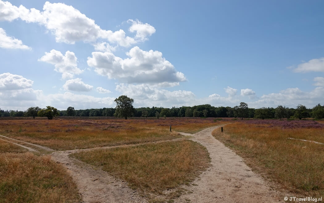 Blaricummerheide tijdens de Trage Tocht Blaricum