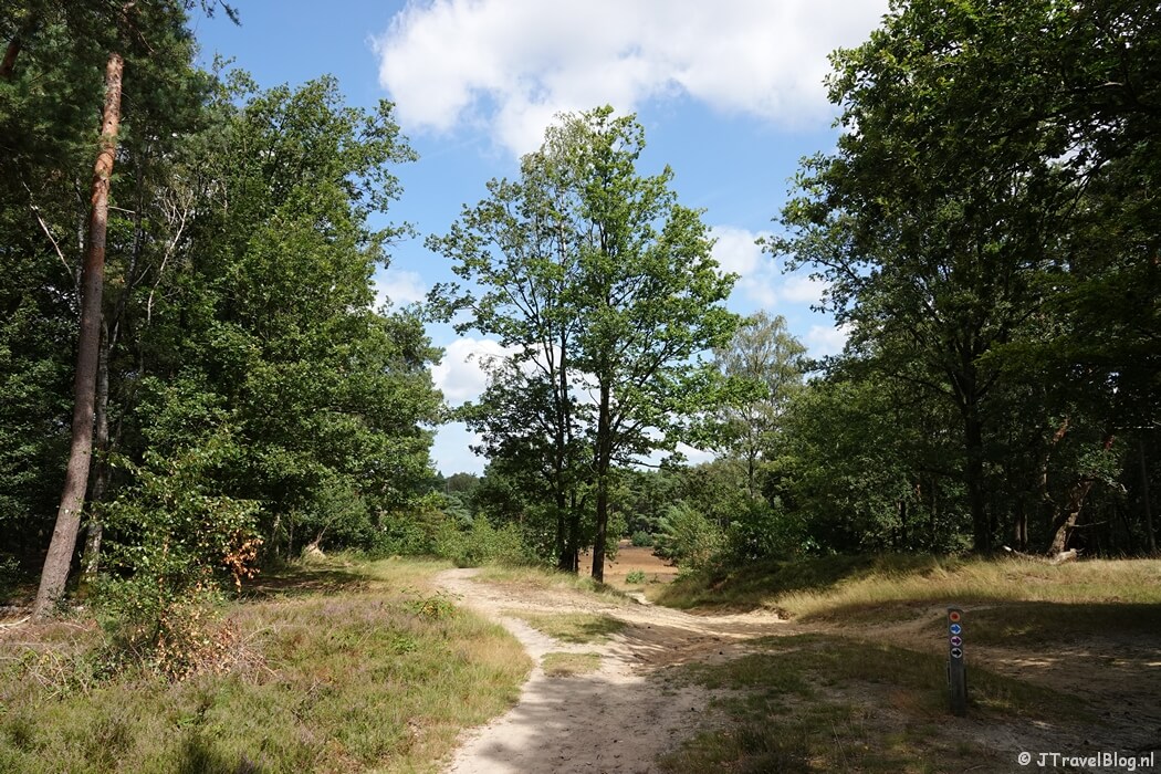 Blaricummerheide tijdens de Trage Tocht Blaricum