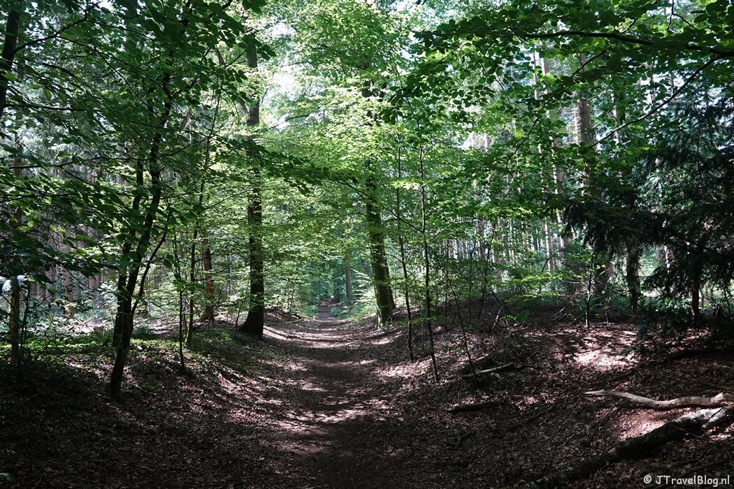 Bikbergen tijdens de Trage Tocht Blaricum