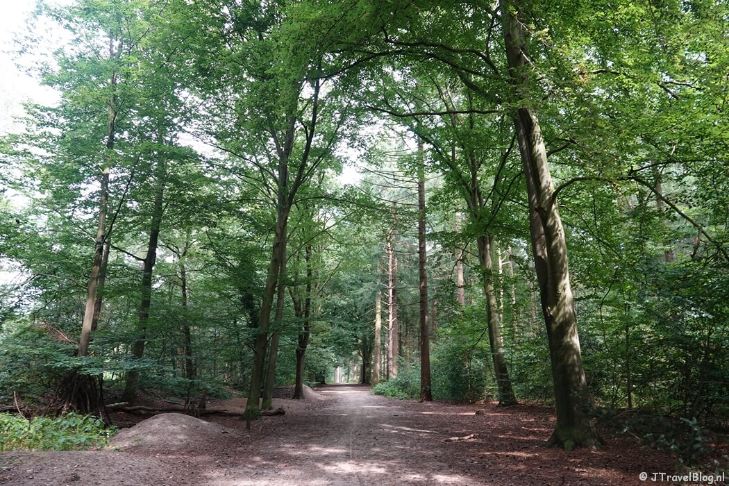 Een bospad tijdens mijn wandeling van de 11e etappe van de oudste wandelroute van Nederland van Rhenen naar Heelsum