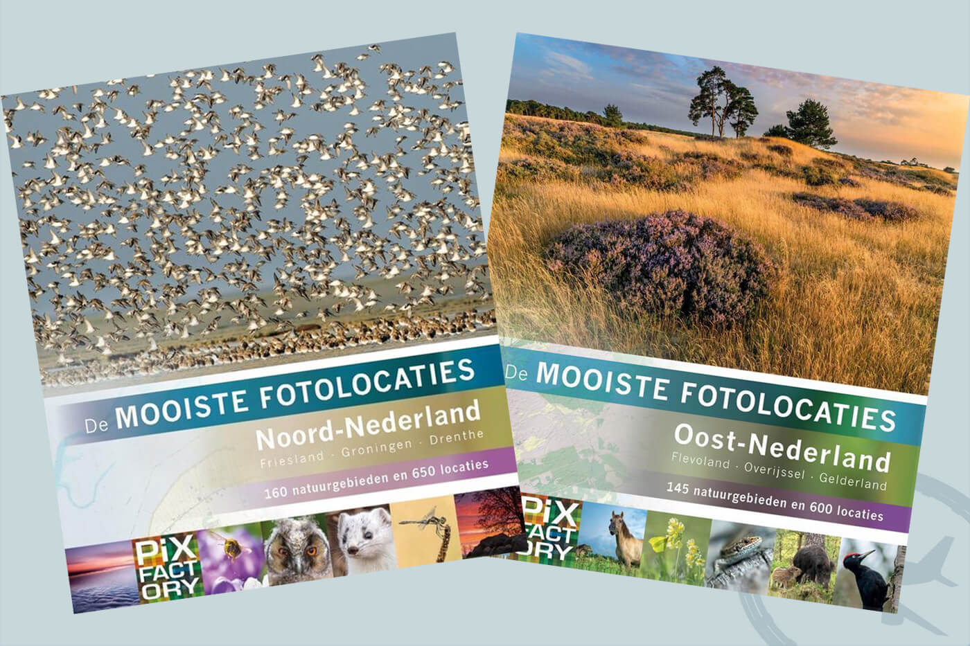 Reisboeken ter inspiratie : De mooiste fotolocaties van Nederland - Pixfactory