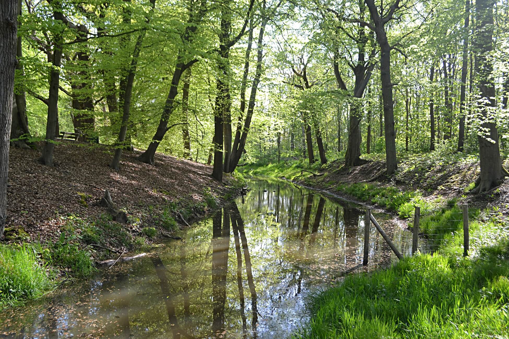 Groene Wissel Vogelenzang