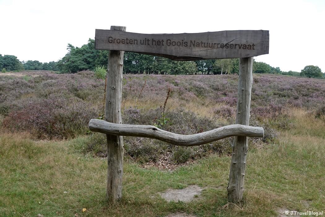 Groeten uit het Goois Natuurreservaat tijdens de Trage Tocht Blaricum