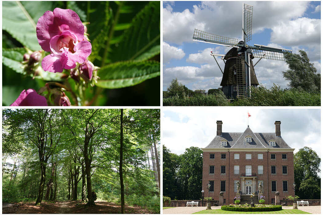 Juli 2024 : Rondje Jaagpad en Molenplas in Haarlem en etappe 9 van de oudste wandelroute van Nederland tussen Leersum en Elst
