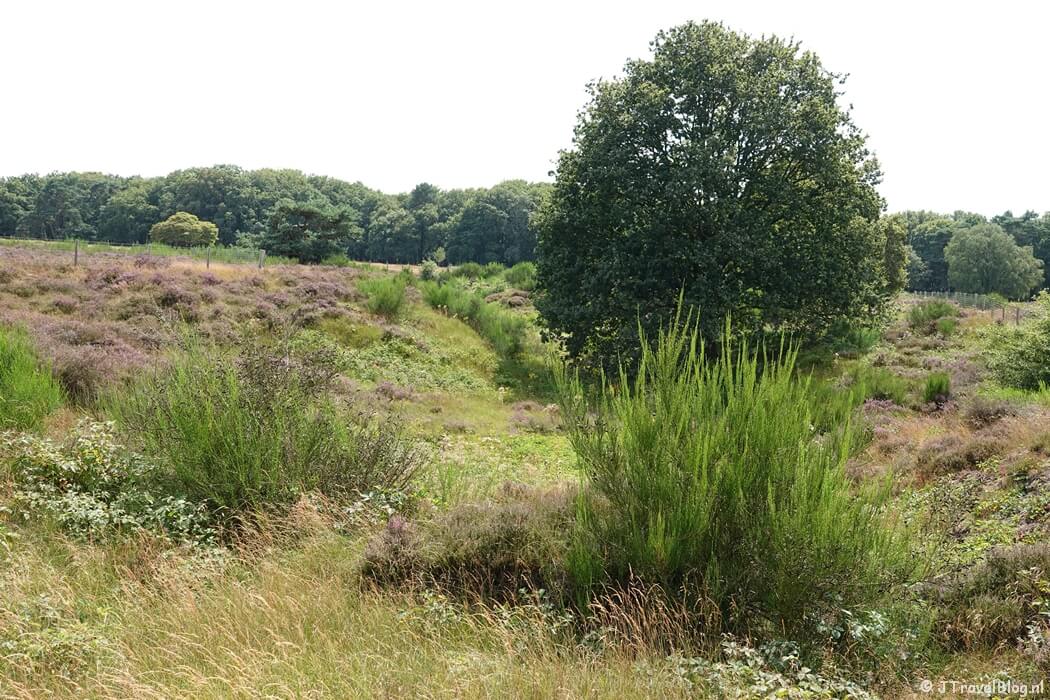 Leemkuil tijdens de Trage Tocht Blaricum