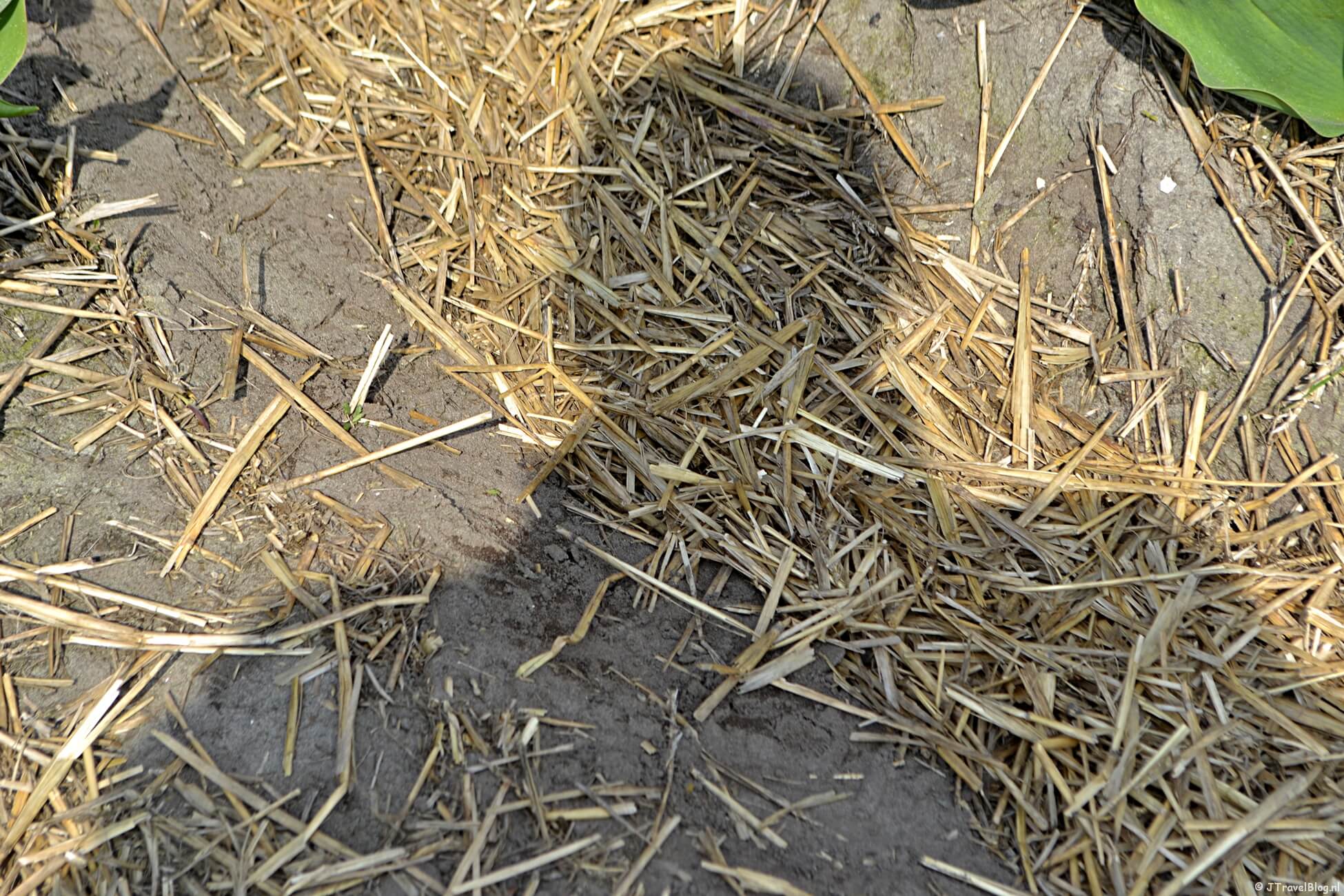 Maandoverzicht april 2021