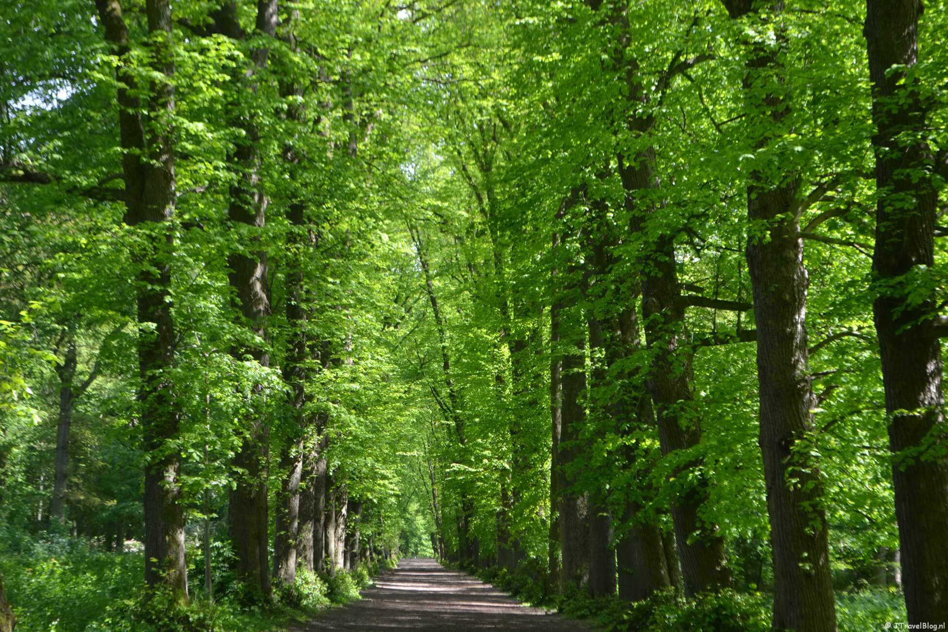 Mijn wandeling in Wandelbos Groenendaal in Heemstede
