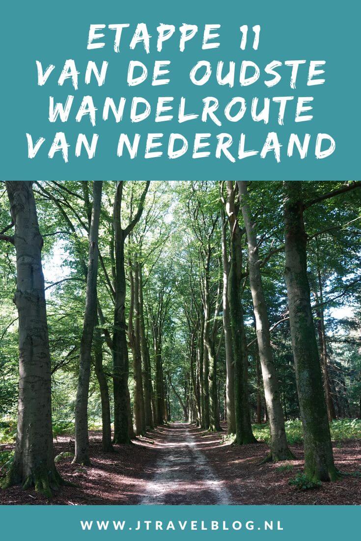 Dit is mijn verslag van etappe 11 van de oudste wandelroute van Nederland van Rhenen naar Heelsum over een afstand van 18,1 kilometer. De oudste wandelroute van Nederland heeft een lengte van 150 kilometer en loopt vanaf Station Amsterdam-Muiderpoort naar Arnhem. #oudstewandelroutevannederland #wandelen #jtravelblog #jtravel