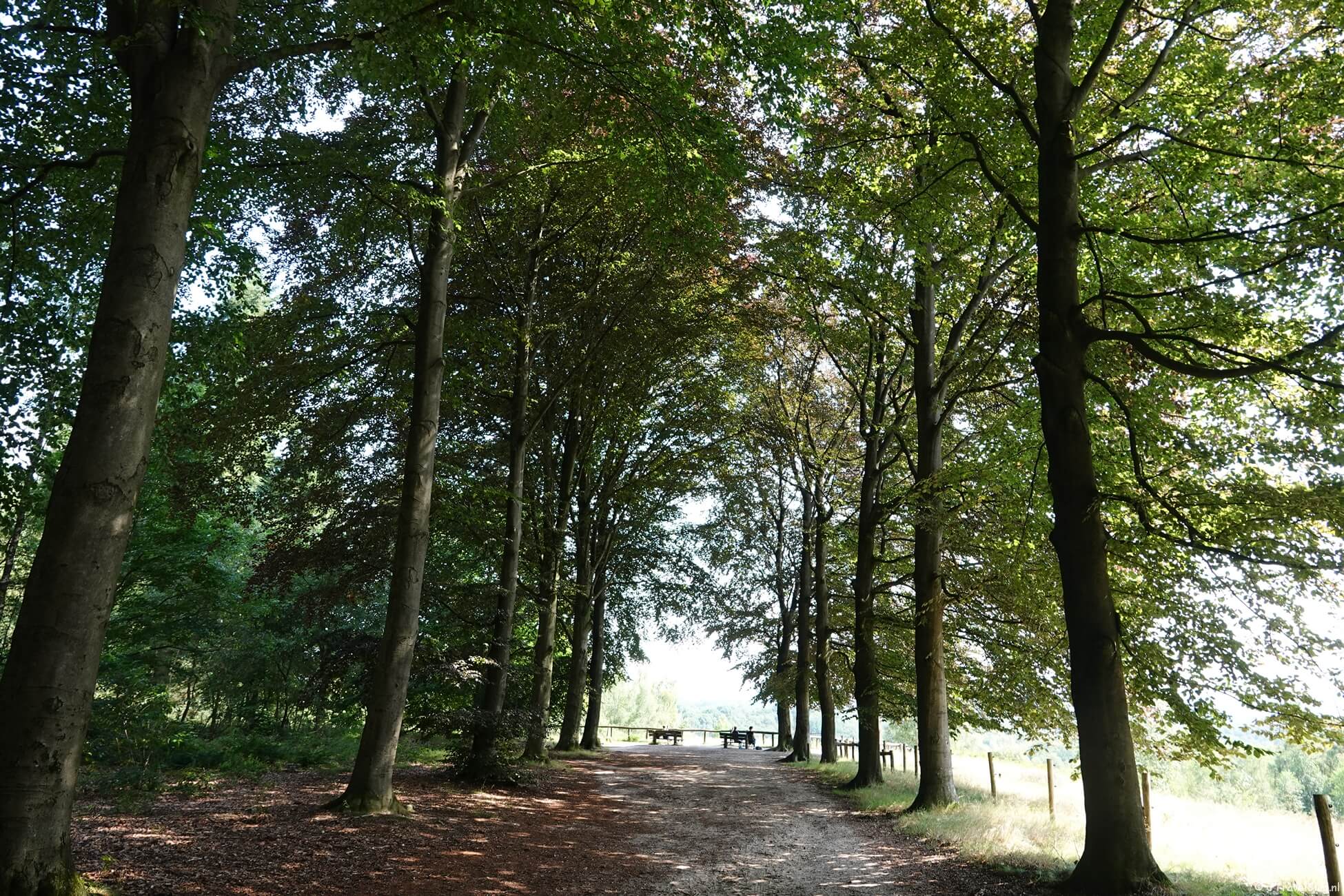 Oudste wandelroute van Nederland etappe 10 : Elst – Rhenen
