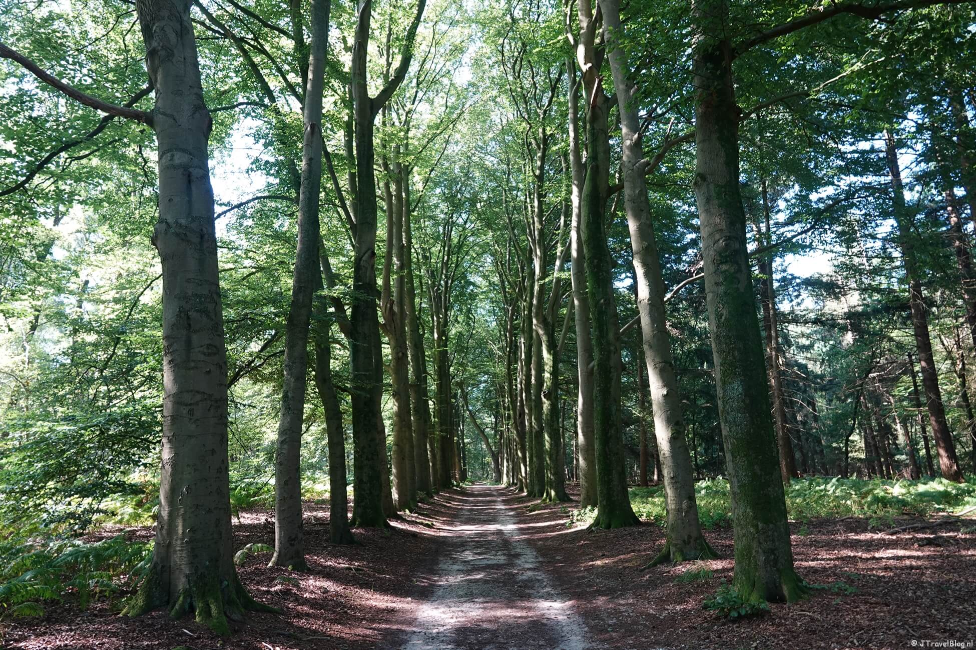 Oudste wandelroute van Nederland etappe 11 : Rhenen - Heelsum