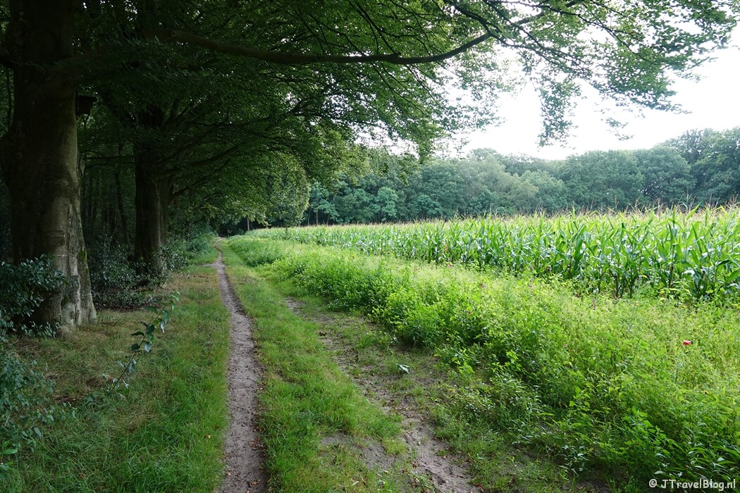 Crailo tijdens de Trage Tocht Blaricum