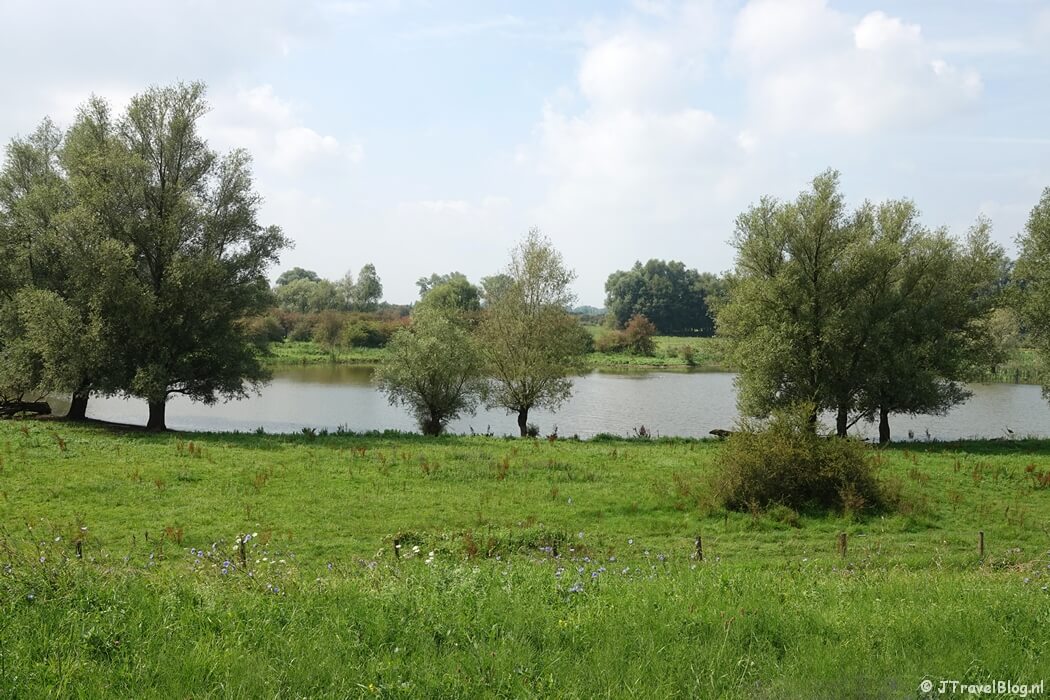 Uiterwaarden langs de Grebbedijk tijdens mijn wandeling van de 11e etappe van de oudste wandelroute van Nederland van Rhenen naar Heelsum