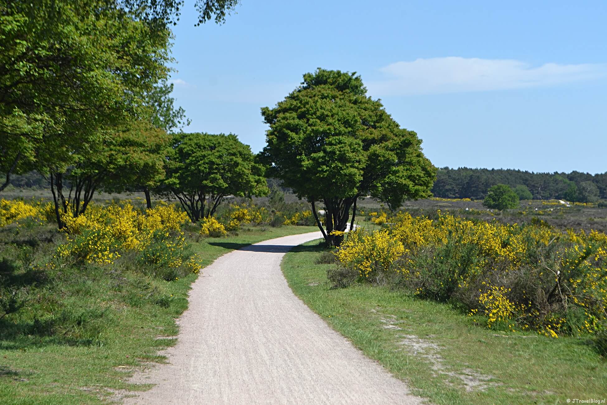 Westerborkpad etappe 5 : Station Naarden-Bussum โ Station Hilversum